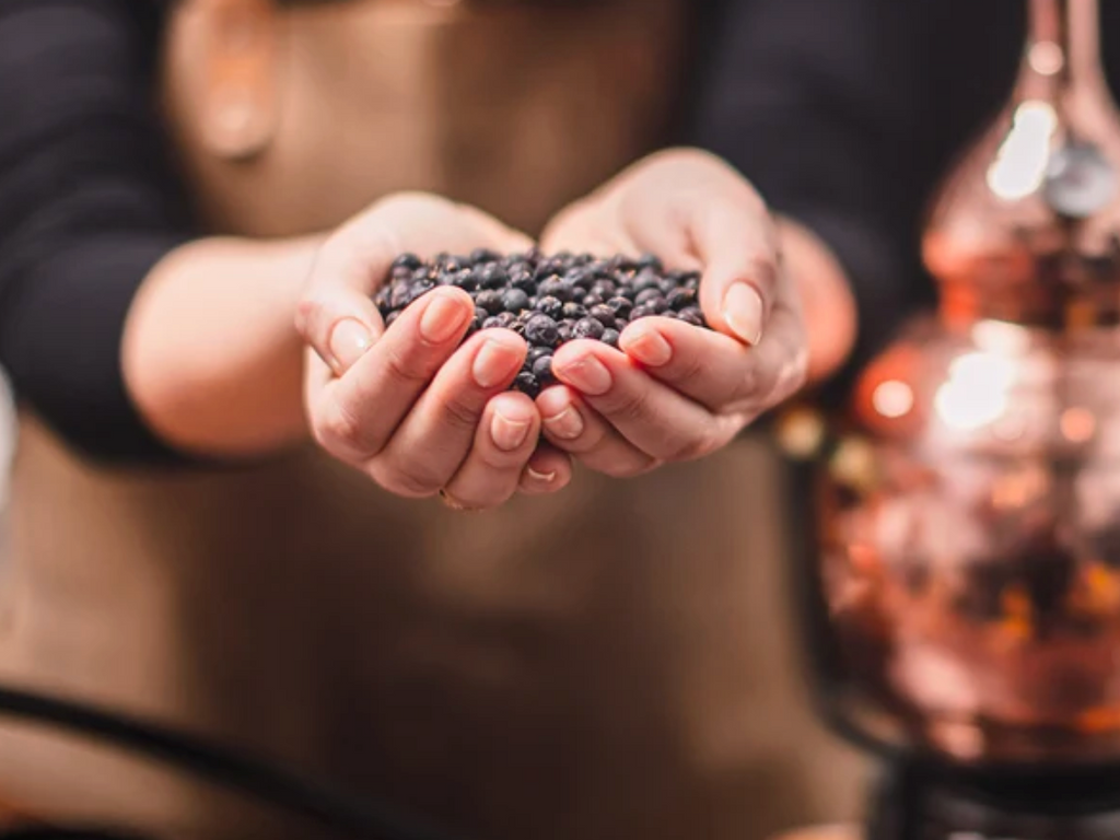 Juniper in Gin: What’s the Story?