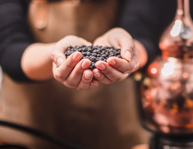 Juniper in Gin: What’s the Story?