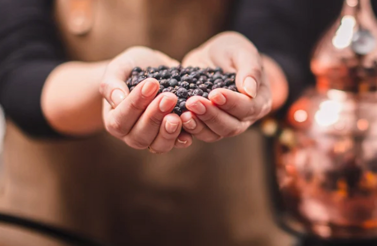 Juniper in Gin: What’s the Story?