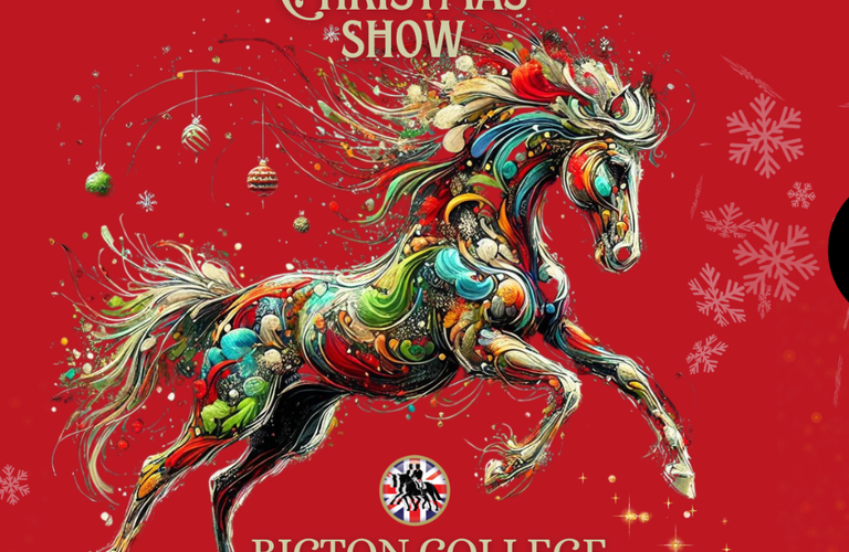 All-Steps Formation Riding Christmas Show in partnership with Exeter Gin - Exeter Gin