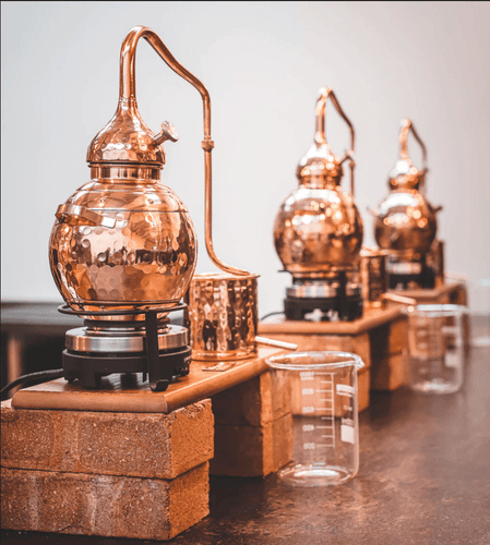 Exeter Gin School Featured in South Devon Food & Drink Tourism Itinerary - Exeter Gin