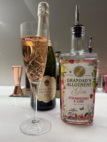 Summer Cocktails: The Perfect Drinks for Gardens, Beaches and Sunshine Days - Exeter Gin