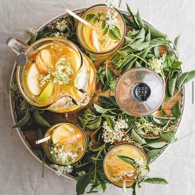 Top 10 Easy Gin Cocktails to Make at Home - Exeter Gin