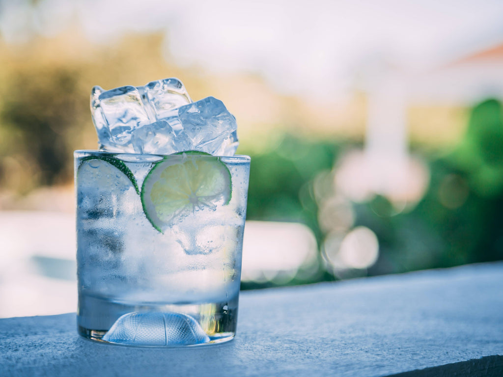 Who Invented the Gin and Tonic?
