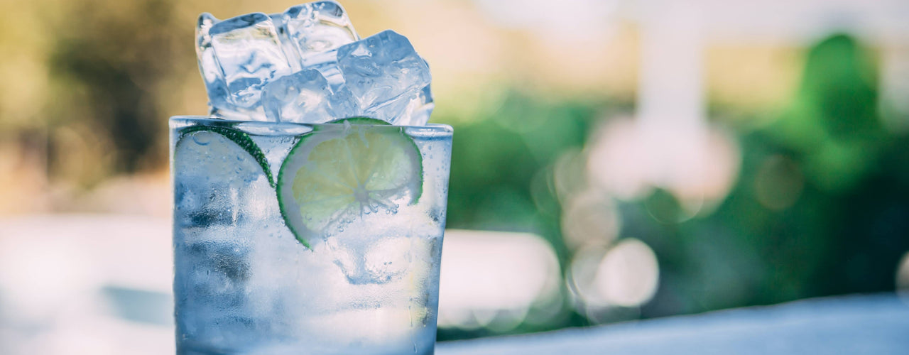Who Invented the Gin and Tonic? - Exeter Gin